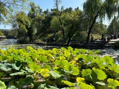 -承德避暑山庄景区