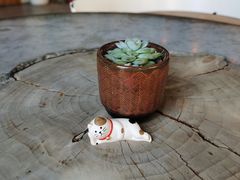 餐具摆设-Tian品