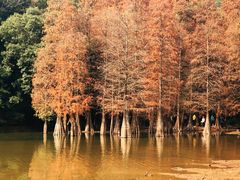 -广州市白云山风景名胜区