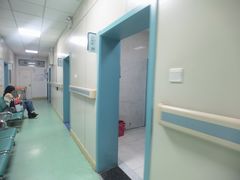 -北京观赏动物医院·24小时大型综合·猫专科·异宠专科
