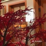 深圳的秋天🍂必须安排一顿正宗铜火锅🥘