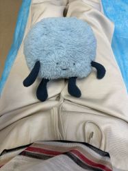 -南京医科大学友谊整形外科医院