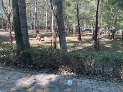 -秦皇岛野生动物园