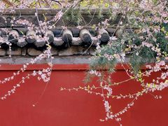 -西安市广仁寺