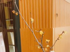 -莫干山郡安里度假酒店-桃尖中餐厅