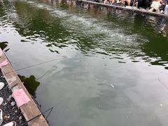-DGE季风钓虾营地·团建·聚会