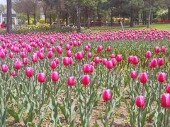 -长春公园(普阳街道)