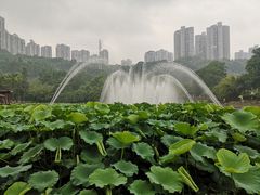 -龙头寺公园