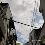 台湾路最后的倔强