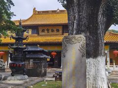 -溪口-滕头旅游景区