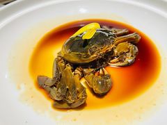 醉蟹-成隆行·蟹王府(九江路店)