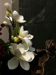 -禾颜社·精致美容