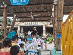 -重庆海昌加勒比海水世界