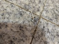 -绿岛汤泉韩式休闲会所