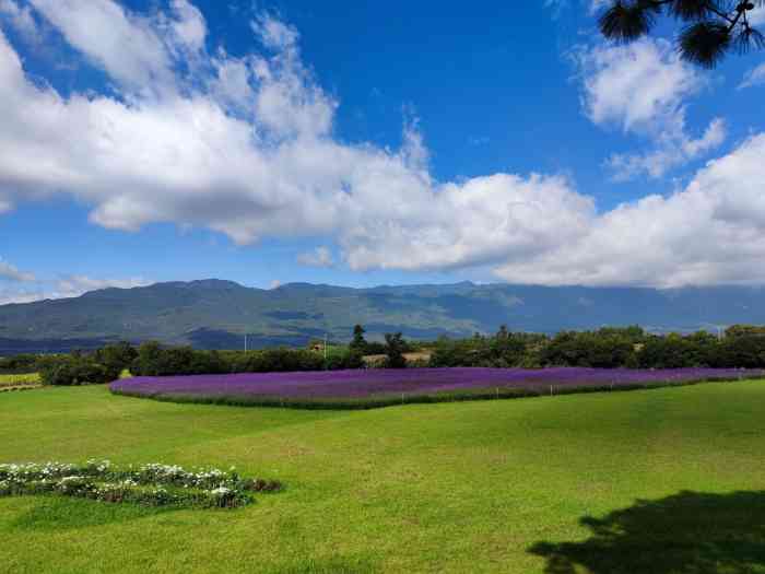 "-大众点评移动版