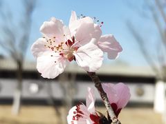 -水西公园