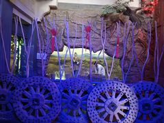 -威海华夏城景区