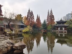 -水绘园