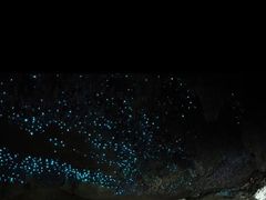 -怀托摩萤火虫洞