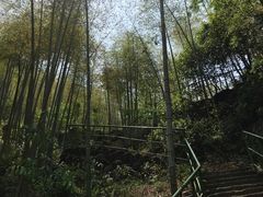 -众神白水涧景区