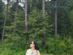 -五营红松林海景区