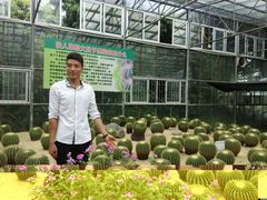 -广东茂名森林公园