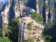 -南山植物园