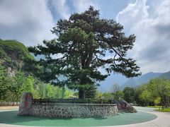 -秦岭终南山世界地质公园翠华山景区