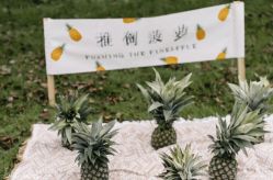 -禧趣婚礼