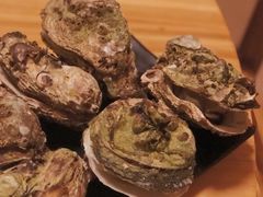 -土蚝·高压锅生蚝(百姓美食街店)
