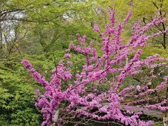 -杭州半山国家森林公园