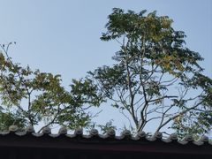 -大名府