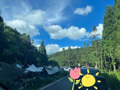 -武陵山森林公园