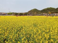-红山村