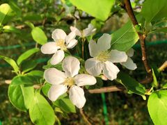 -南京金牛湖风景区