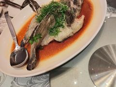 -金苑海鲜酒家(来魅力店)