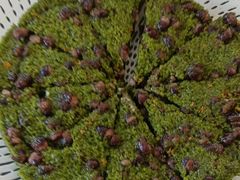 -蟹天蟹地农家菜·阳澄湖大闸蟹(浅水湾店)