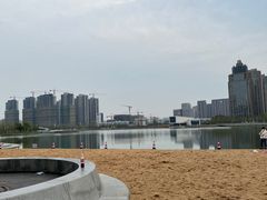-金沙湖公园