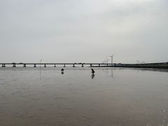 -南汇新城海滩