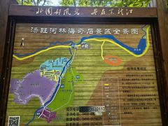 -汤旺河林海奇石景区