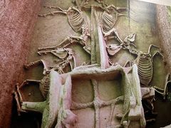 -洛阳周王城天子驾六博物馆