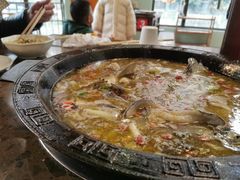 -鲜椒鱼·雅安地标性美食