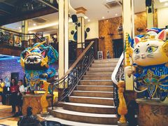 -more than meow吴止猫主题餐厅(承德 中船汇店)