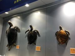 -福州罗源湾海洋世界旅游区