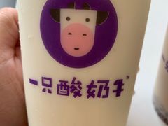 -一只酸奶牛(八一路店)