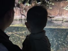 -重庆欢乐海底世界