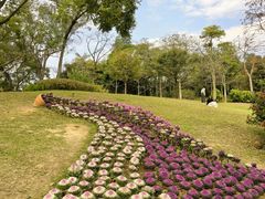 -云溪植物园