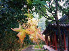 -香山公园