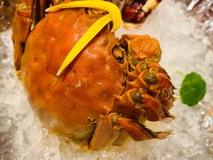 -柒厢食事雅谈