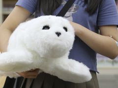 -日本大使馆-新闻文化中心